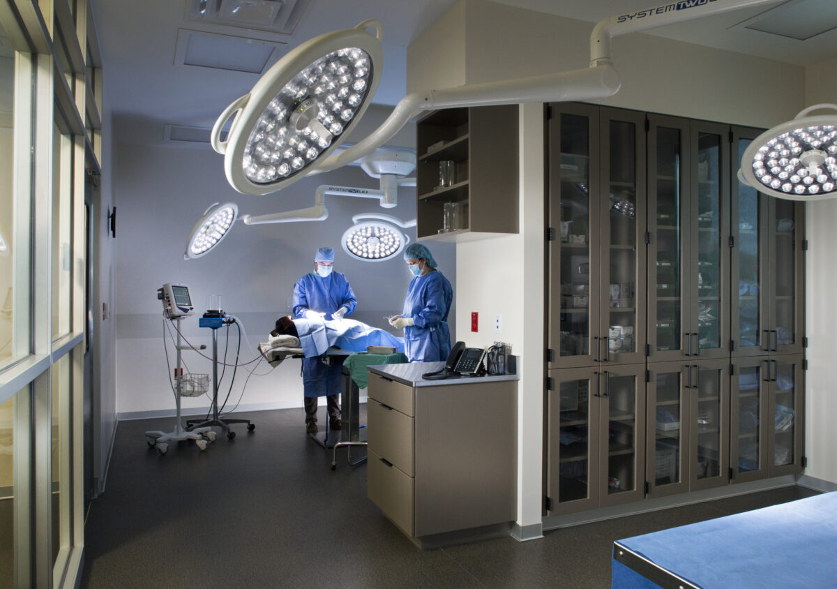 animal in surgery treatment area