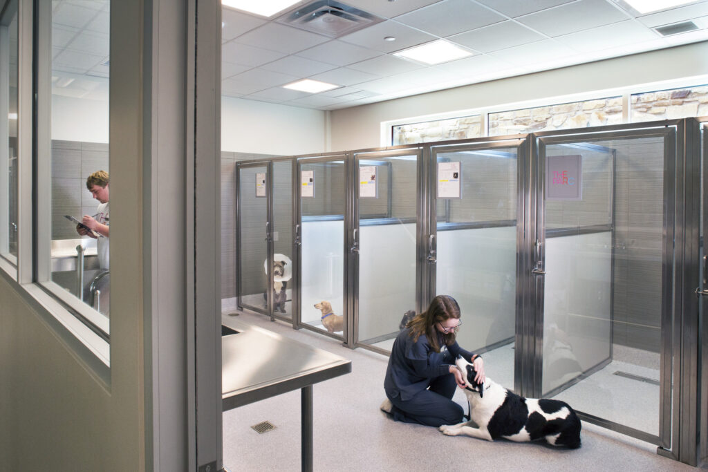 person with dog in animal facility