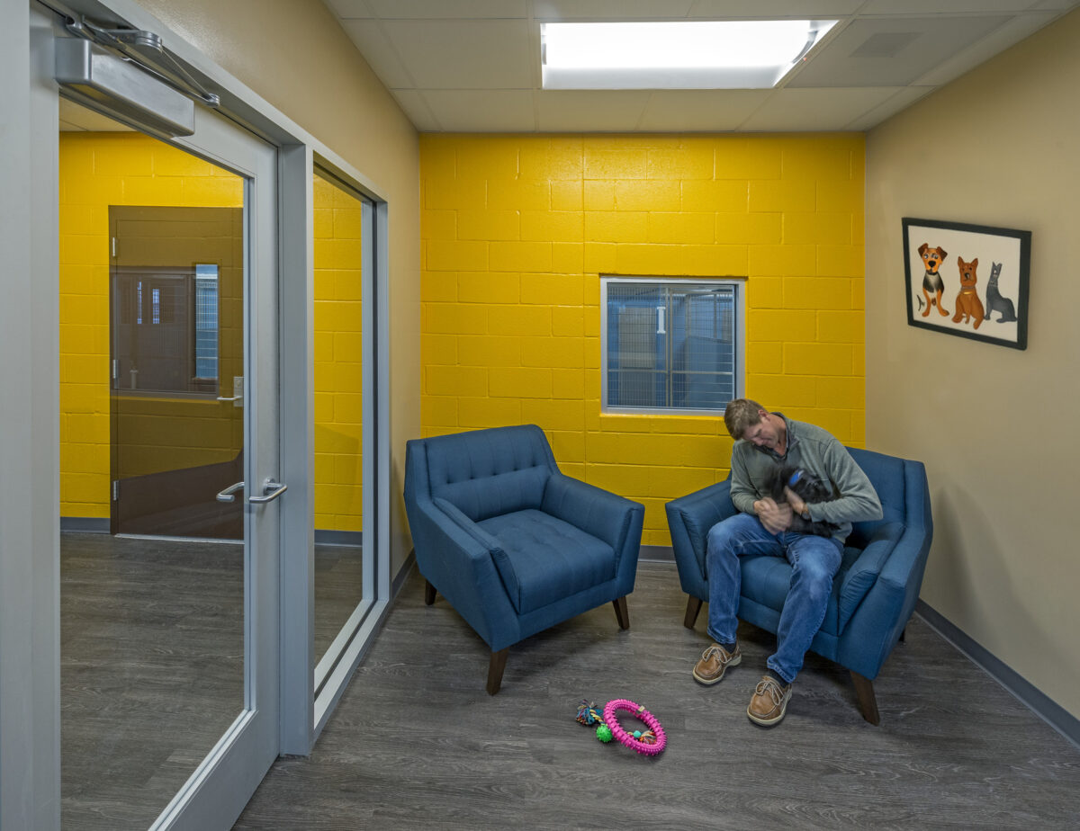 person playing with dog