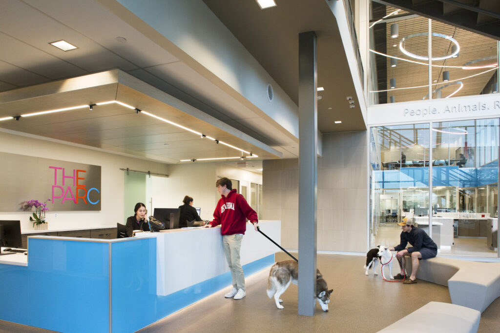 dogs and people in lobby