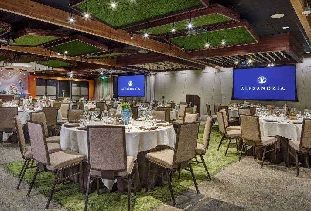 Farmer & The Seahorse