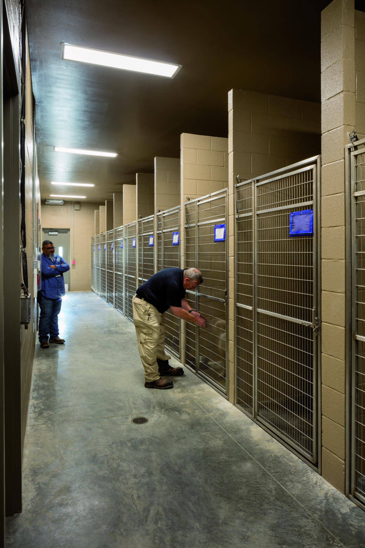 dog in animal facility