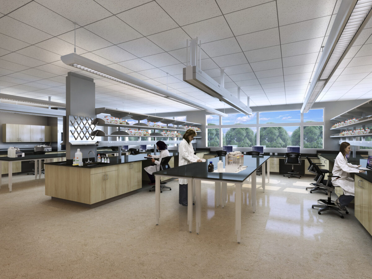 people working in lab