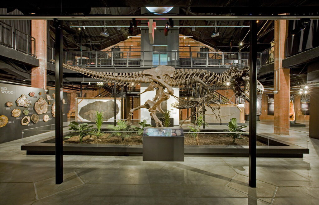 dinosaur exhibit