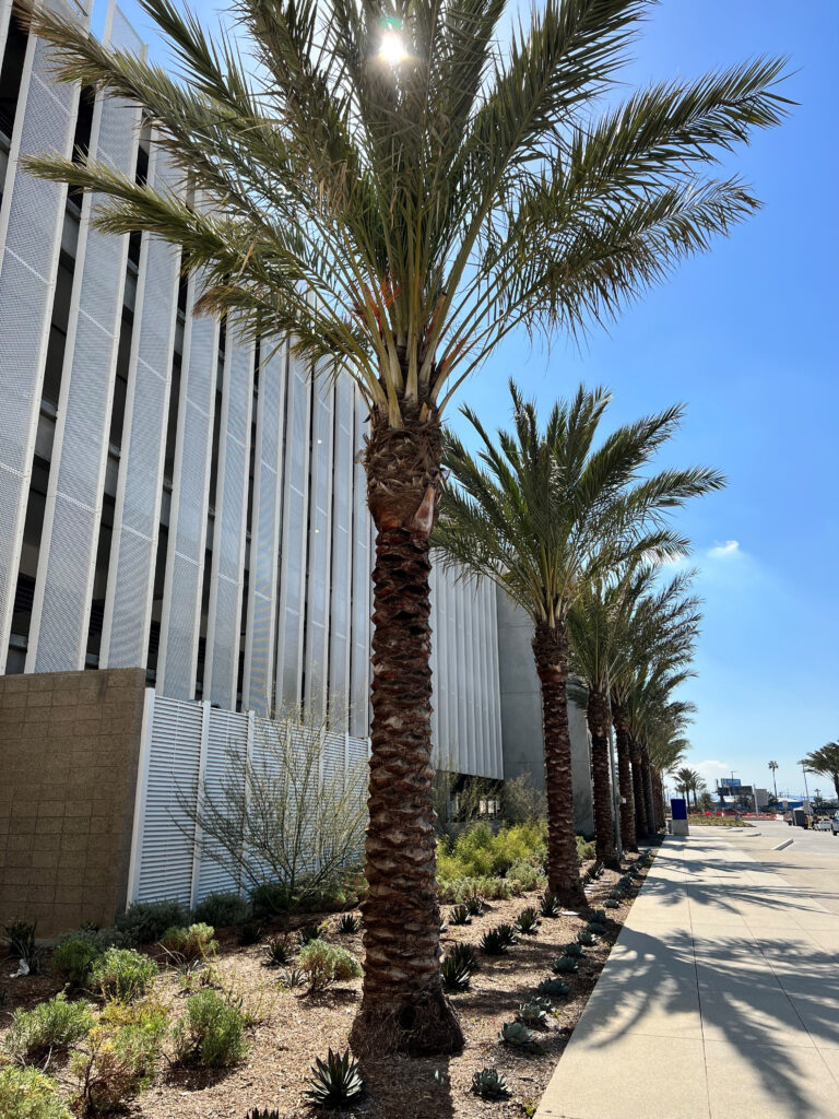 Consolidated Rental Car Facility (ConRAC) at Los Angeles International Airport (LAX)