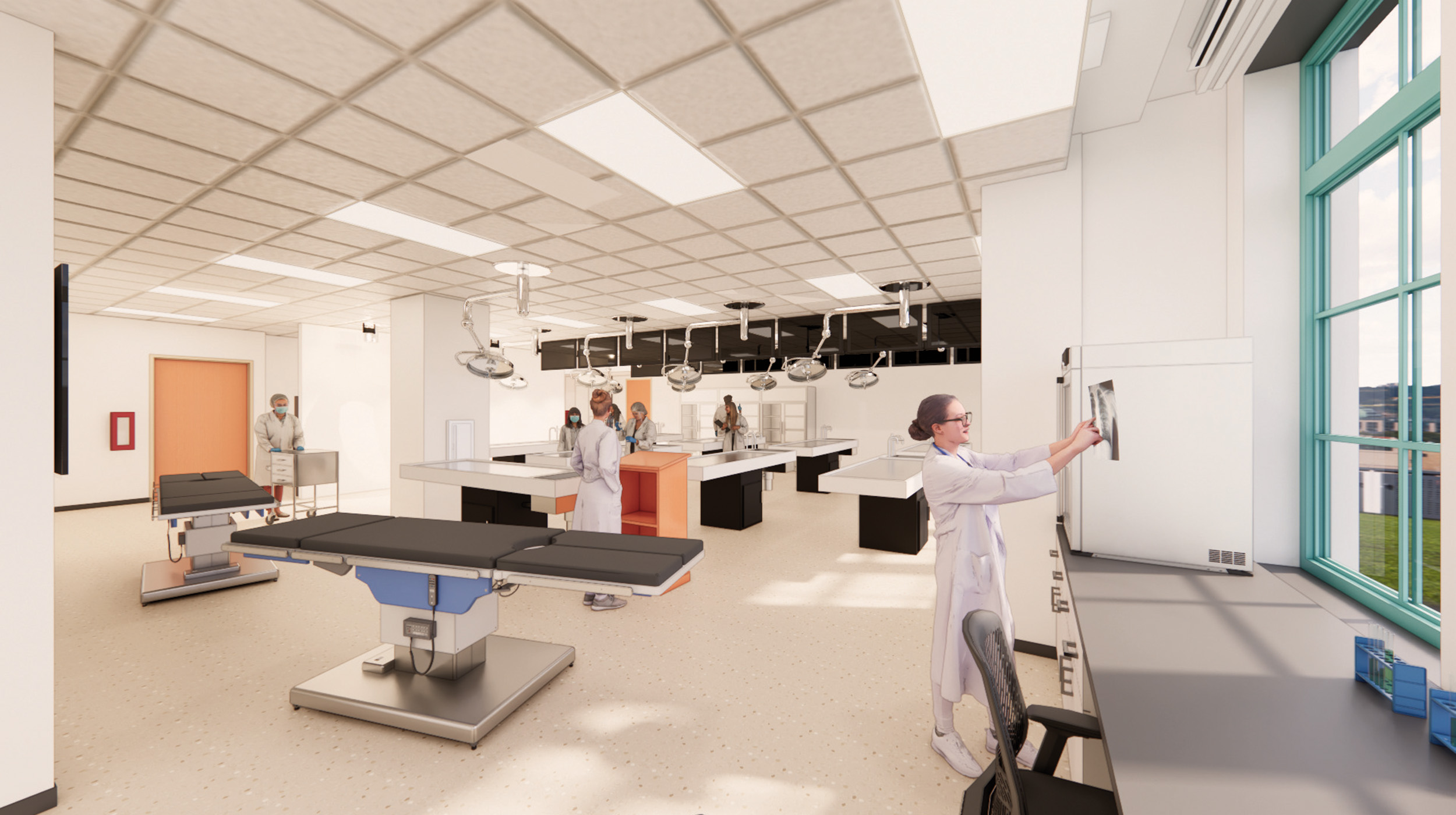 Anatomy Lab Rendering