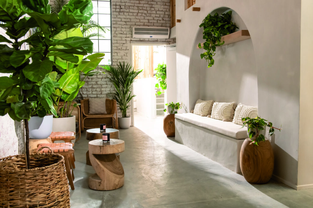 June Shine Images Interior and Exterior